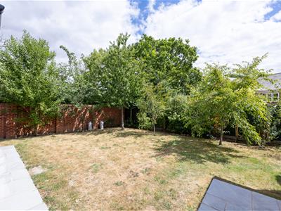 Picture 20